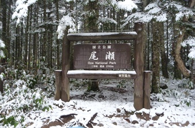 山ノ鼻キャンプ場