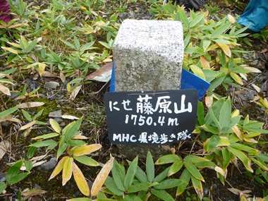 にせ藤原山